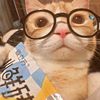 www.weroohd