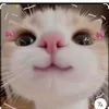 not_nik063