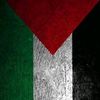 abosaif0856