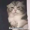 minh_tri345