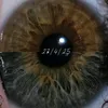 crumbz_2024