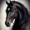 aseeltalal89