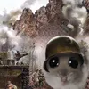 nhomloptaolaoa5