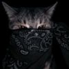 boss_4.0