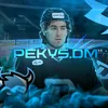 pekys.dm⁷⁹