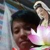 thy.bi4538