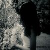 o_y261