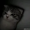_bitsuy