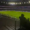 thfcmulbol