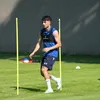 areldemir8