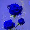 boussouarlarbi