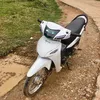hongbe20080