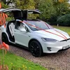 falcon.tesla.wedding