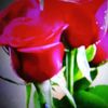 user7313623804258