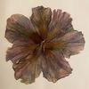 wy_12f