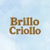 brillocriollo