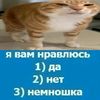 kitik0k