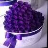 user7501834667318