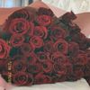 nadeenmohamed4226