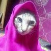 manhijrah_story