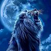 leoking958