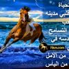 user8262866953619
