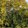 lera_654_3