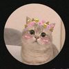 teekiiiii2