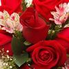 leilabenamor499