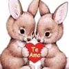 user1126268101130