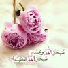 user8833381360870
