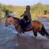 amal.musahl