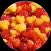 adnanmahamad3