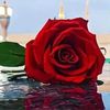 user52049814143612