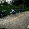 luis.ngel4865