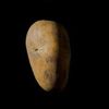 potato.pottato2