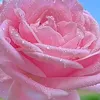 mroa8671