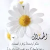 fatma.jalil88