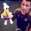 cr73594194
