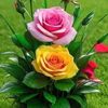 nur.mohammad2960