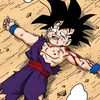 the_gohan