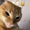 chamooy504insta