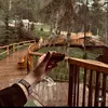 dilim_20036