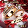 miguel.saldanasal