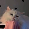 ina_dahireyy23