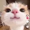 doemon596