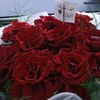 sadiya.akthar823