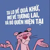 cho.sucvat