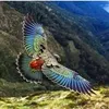 user45067027872018