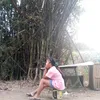 princes.jane13